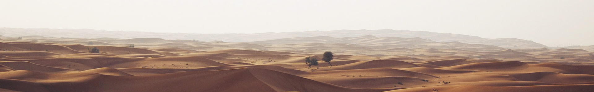 ŵ»Ƽ޹˾
